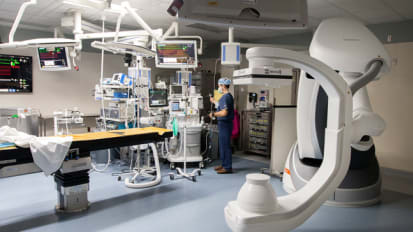 A New Kind of Hybrid