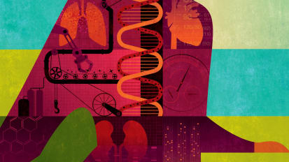 UT Southwestern’s Siegwart Lab is Building Tomorrow’s Cancer Cures From the Inside Out