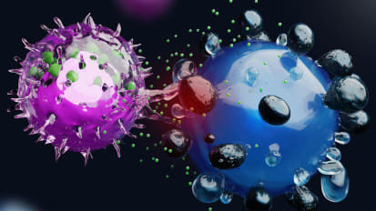 Making Natural Killer Cells Smarter to Improve Cell Therapy