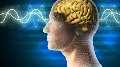 New Research and Insights into Neuromodulation