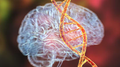 Expanding the Phenotypic Spectrum of the Recurrent De Novo FBXO31 p.Asp334Asn Variant: Evidence for a Novel Neurodevelopmental Disorder Proposed as Kruer Syndrome