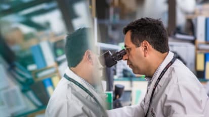 Dana-Farber Researchers ‘Hijack’ Gut Bacteria to Design Novel Form of Cancer Immunotherapy