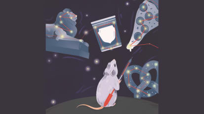Mount Sinai Researchers Have Uncovered the Mechanism in the Brain That Constantly Refreshes Memory
