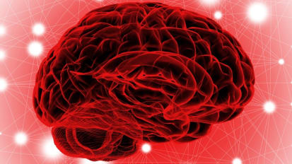 Common analgesic gas aids in opening of blood-brain barrier