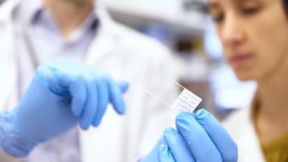 Mount Sinai Secures $8M to Boost Drug Discovery for CADASIL and Brain Disorders