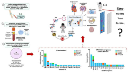 Mount Sinai Researchers Find Spaceflight May Be Associated With DNA Mutations and Increased Risk of Developing Heart Disease and Cancer