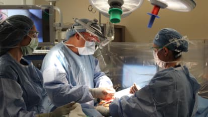 Bend and Snap: New Interventions for Rib Fractures