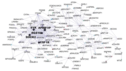 Hippocampal subfield transcriptome analysis in schizophrenia psychosis