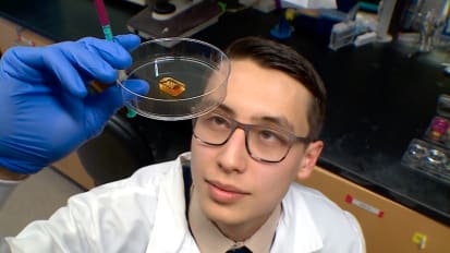 Organ Bioprinting Gets a Breath of Fresh Air