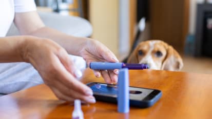 GLP-1 medication changes may support long-term weight management