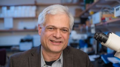 Researcher Gains Insight into Rare Genetic Diseases