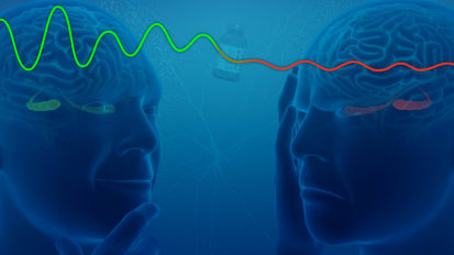 Study maps brain wave disruptions affecting memory recall