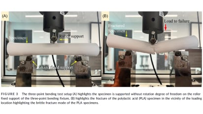 Three-dimensional-printed femoral diaphysis for biomechanical testing—Optimization and validation