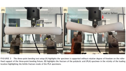 Three-dimensional-printed femoral diaphysis for biomechanical testing—Optimization and validation