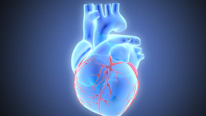 Washington University Vascular Surgeons at Barnes-Jewish Hospital Deliver Outstanding Care to Patients