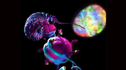 The First NCI-Designated Comprehensive Cancer Center Using 3D Genomics Testing to Diagnose Lymphoma and Sarcoma—a True Game Changer