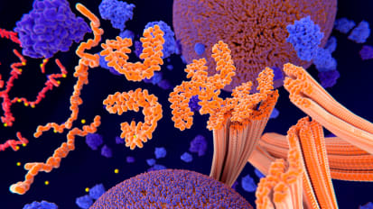 Why Do Some Brain Regions Resist Alzheimer’s?