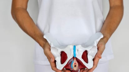 The Neuro-Muscular Perspective: Diagnosis and Treatment of Pelvic Floor Dysfunction