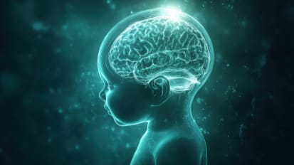 Evolution in the Care of the Neonate at Risk for Hypoxic Ischemic Encephalopathy