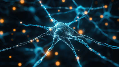 Management of Polyneuropathy and Neuropathic Pain