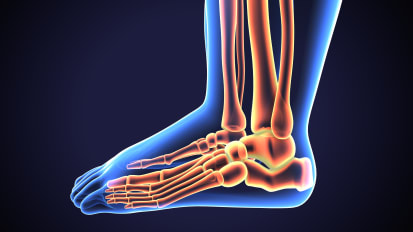 Things That Go Bump in the Day