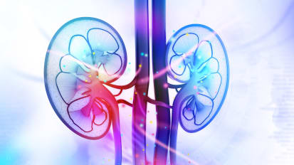Urology for Primary Care- UTIs, reflux, and testicles