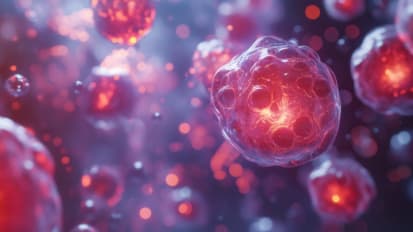 Cannabis and Oncology Care: How to Guide Adults with Cancer