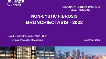 Current Guidelines and Recommendations for Multimodal Management of Non-Cystic Fibrosis Bronchiectasis<br><sub>A Year 2022-2023 Review</sub>