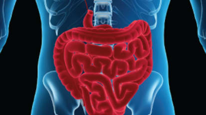 25th Annual Educational Meeting in Gastroenterology