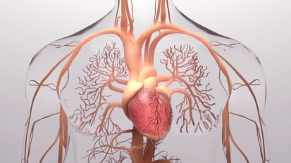 Pulmonary Hypertension: An update on diagnosis, treatment and risk assessment