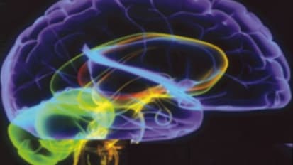 The 16th Annual Symposium on Neurovascular Disease