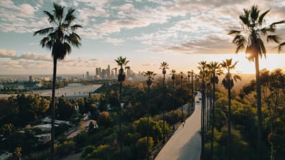 2025 LA Symposium in Plastic and Reconstructive Surgery