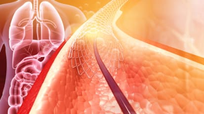 TAVR Education Lectures 2024