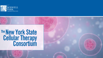 The New York State Cellular Therapy Consortium