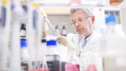 同步染色元数据:从绝望进化