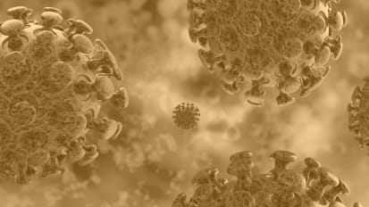 Applied ethics: Navigating the COVID-19 pandemic 