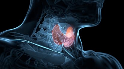 Identification and Management of Adrenal and Thyroid Diseases 