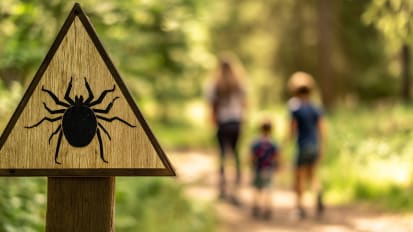 Epidemiology of Pediatric Febrile Rash Illnesses in the Summer of 2025