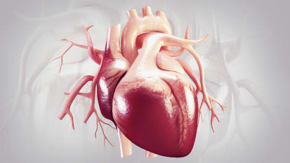 Myocardial Fibrosis Imaging