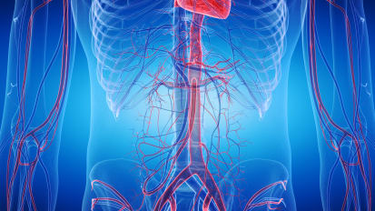 The Penn Aorta Center: A New Comprehensive Model for Patients with Aortic Disease