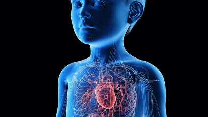 Hearing the Young Heart: A Lesson on Pediatric Murmurs