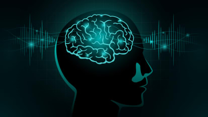 Overview of the Clinical Aspects of Deep Brain Stimulation