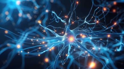 Focused Ultrasound for Parkinson’s Disease and Essential Tremor