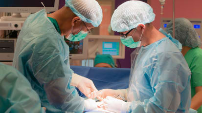 TAVR: The Procedure 