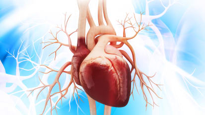 Transcatheter Approaches for the Treatment of Aortic Stenosis: An Overview