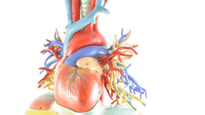 2020 Virtual Cardiovascular Evening Symposium: Structural Heart and EP Updates