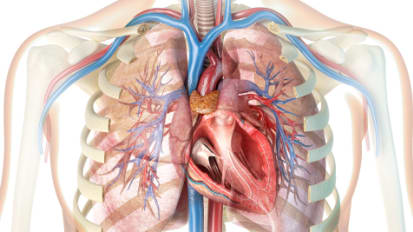 2021 Virtual Cardiovascular Evening Symposium: Prevention & EP Updates