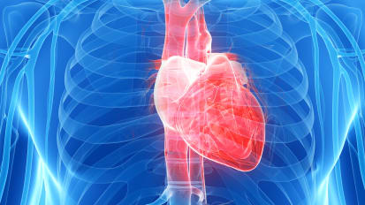 2021 Virtual Cardiovascular Evening Symposium: Structural Heart and Vascular Surgery Updates