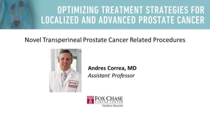 Novel Transperineal Prostate Cancer Related Procedures