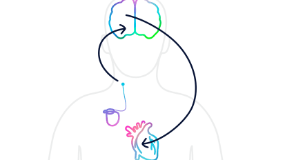 Barostim™ Baroreflex Activation Therapy for the Treatment of Heart Failure Symptoms